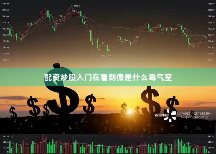 配资炒股入门在看到像是什么毒气室