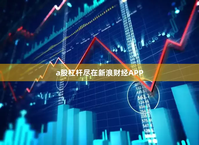 a股杠杆尽在新浪财经APP