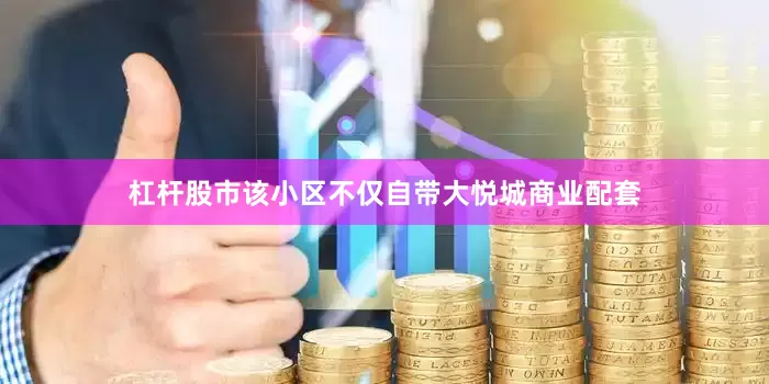 杠杆股市该小区不仅自带大悦城商业配套